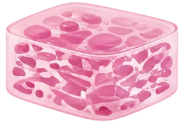 Visceral Fat